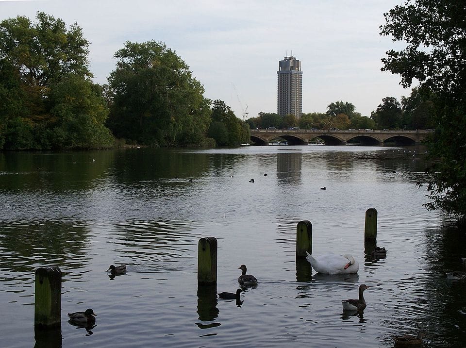 The Serpentine - Photo 1