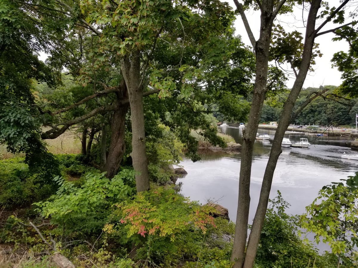 Neponset River Reservation - Photo 1