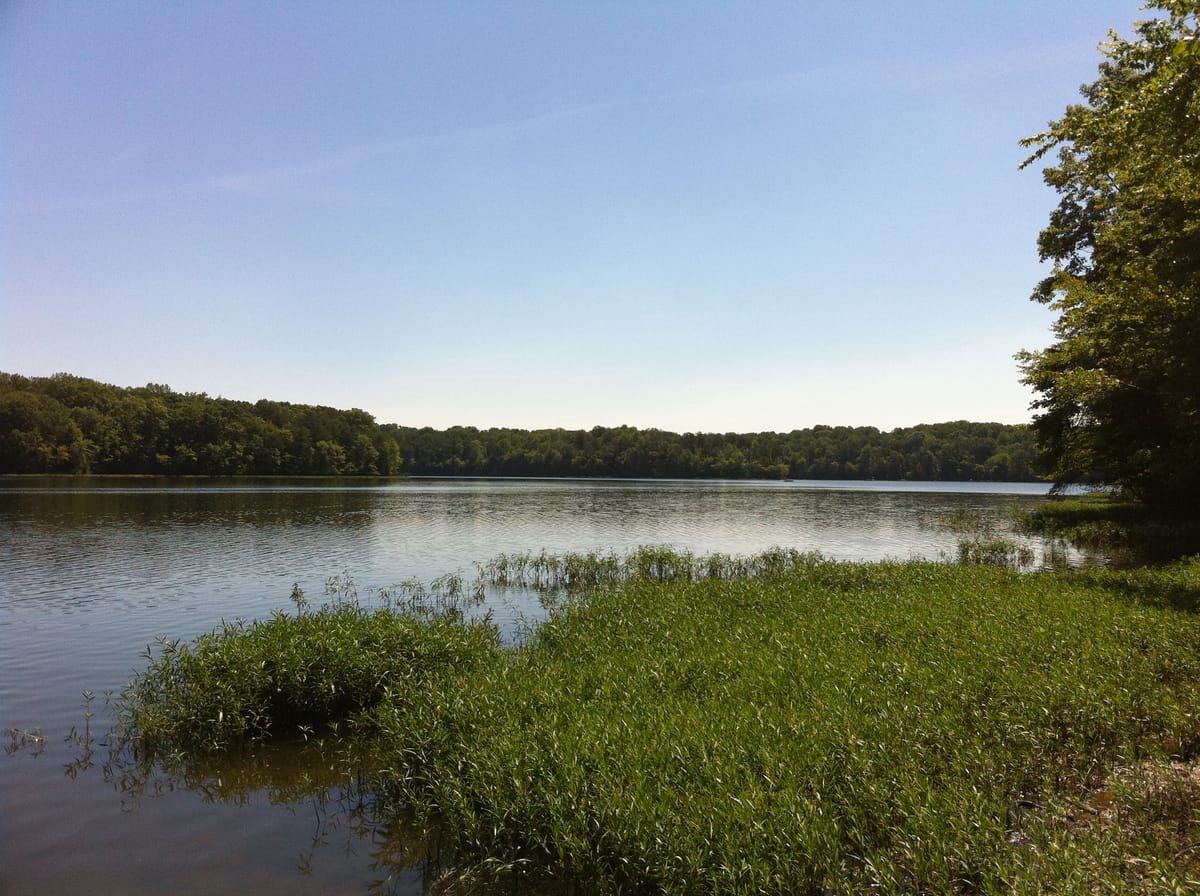 Burke Lake Park - Photo 1