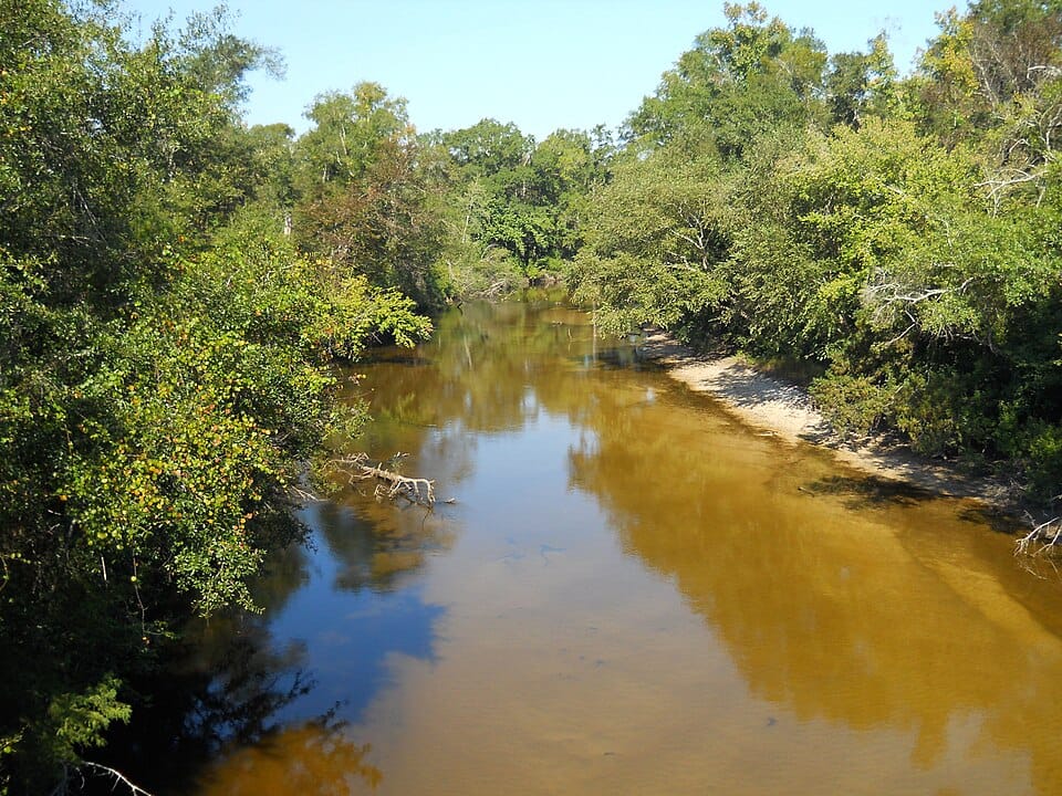 Red Creek - Photo 1