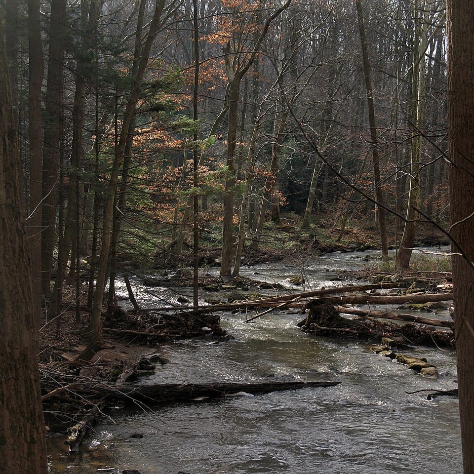 Middle Creek Reservoir - Photo 1