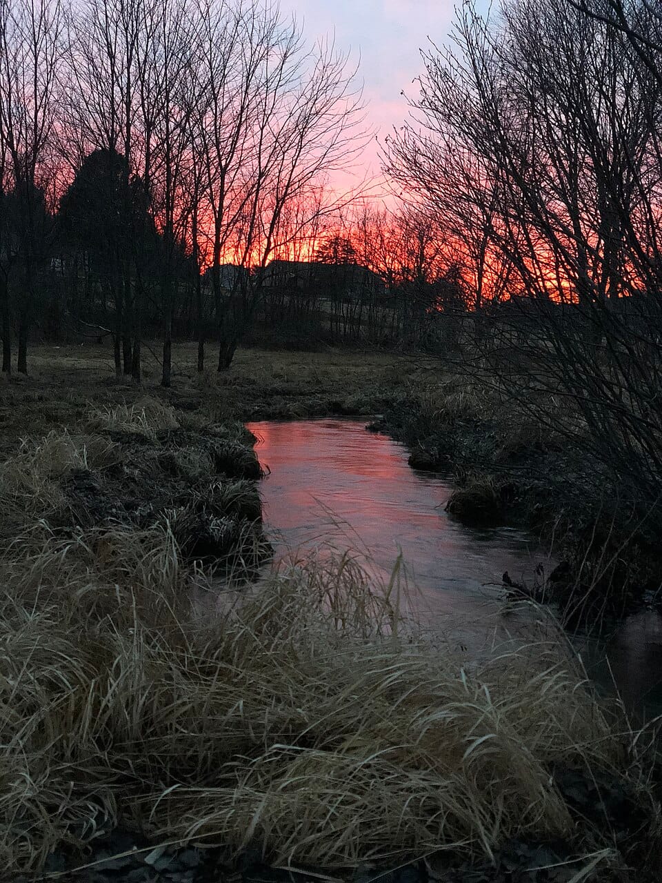 Wiconisco Creek - Photo 1