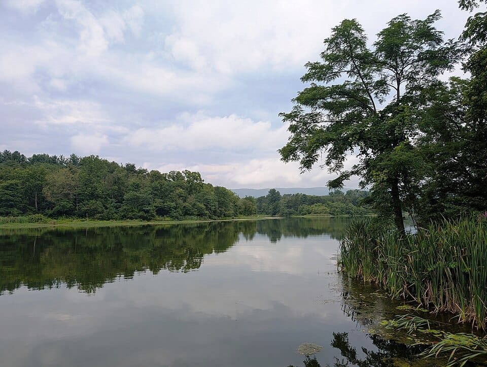 Opossum Lake - Photo 1