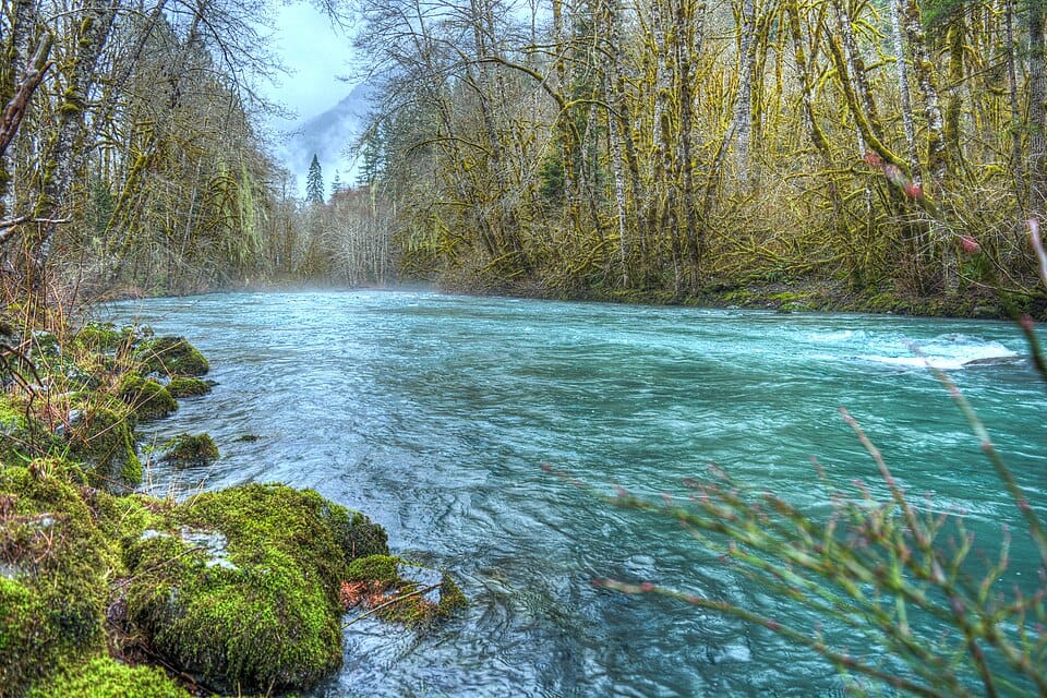 Dosewallips River - Photo 1