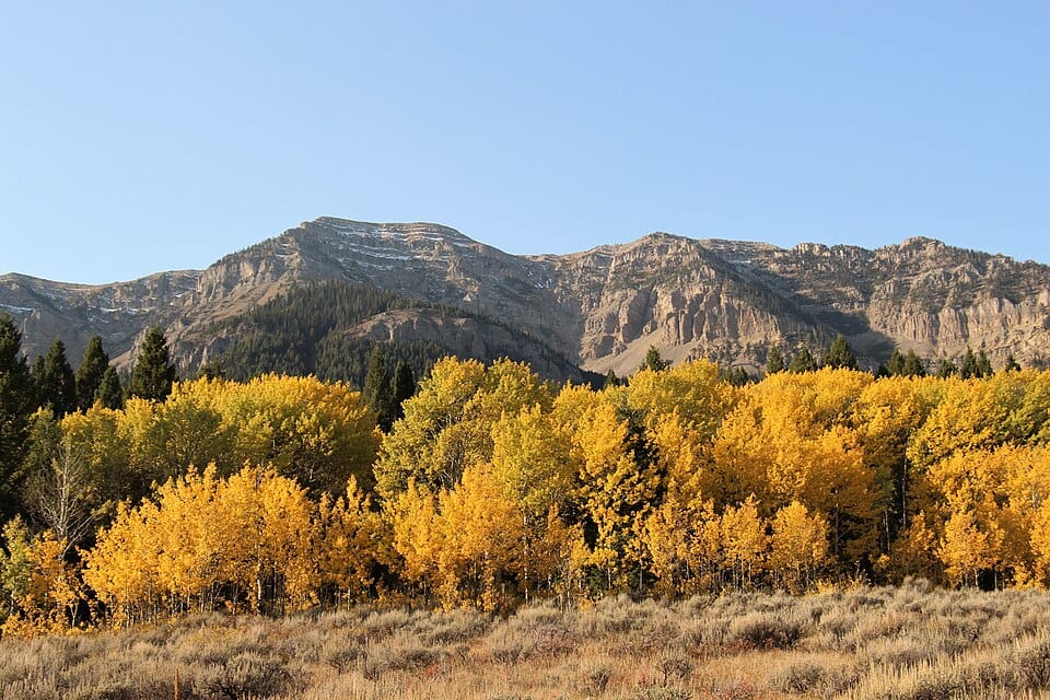 Red Rock Lakes National Wildlife Refuge - Photo 1