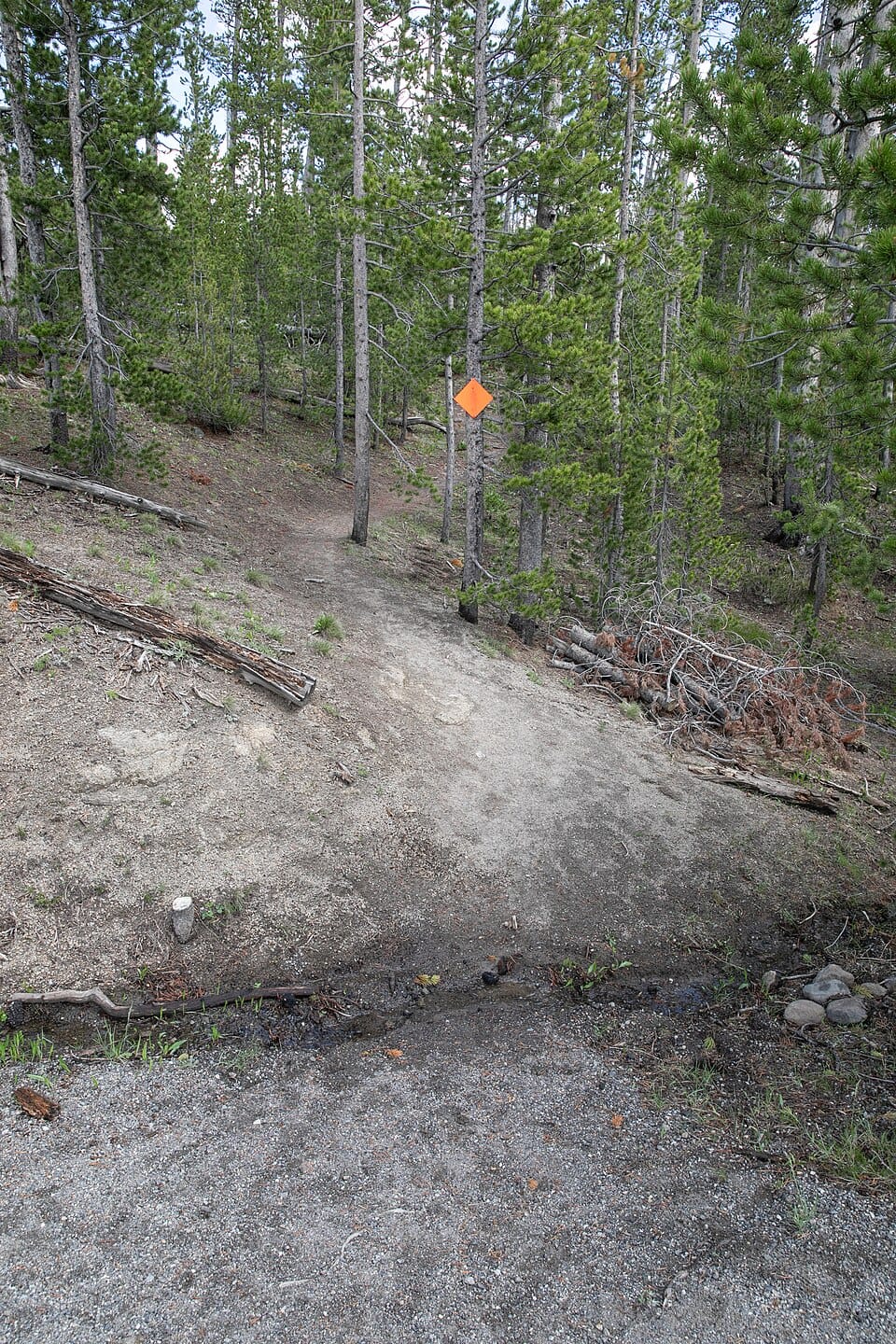 Wolf Lake - Photo 1