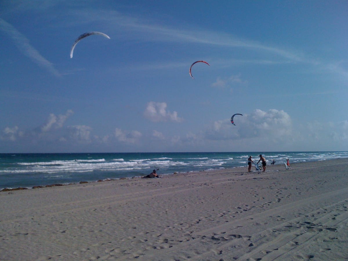 Hollywood Dog Beach - Photo 1