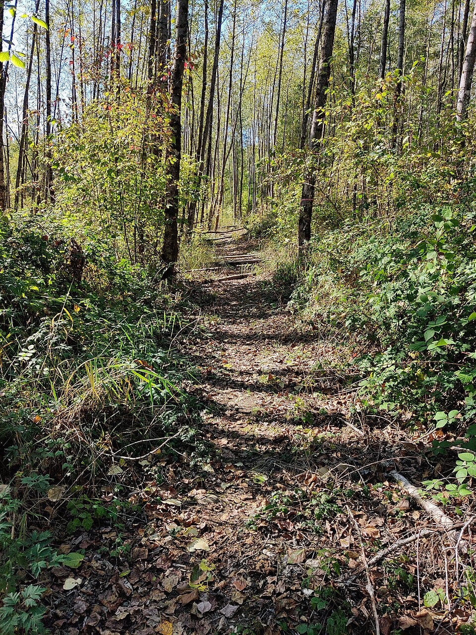 Carlisle Lake - Photo 1