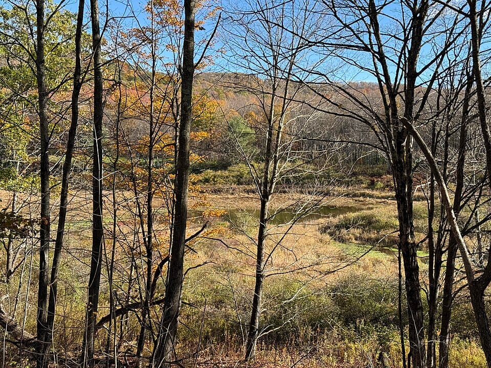 Beginning of the Delaware River (West Branch) - Photo 1