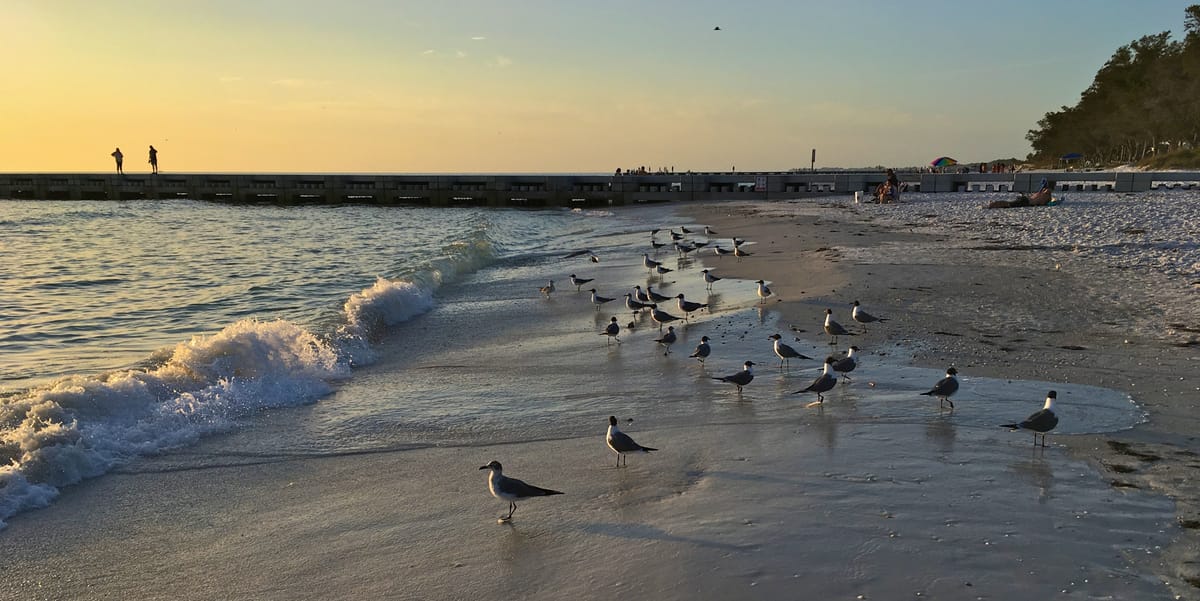 Cortez Beach - Photo 1