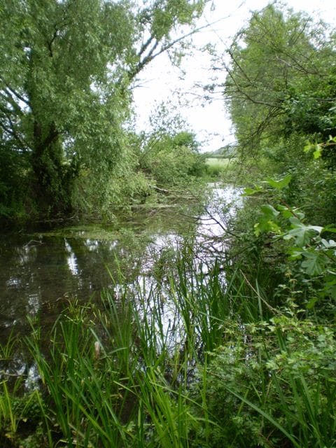 Wellhead Springs - Photo 1