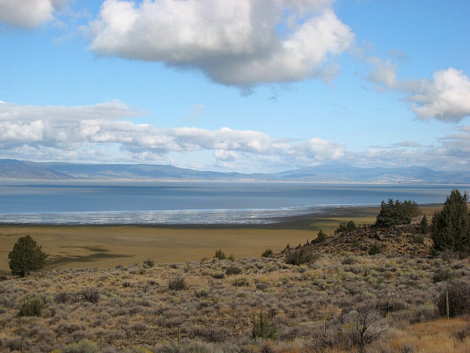 Goose Lake - Photo 1