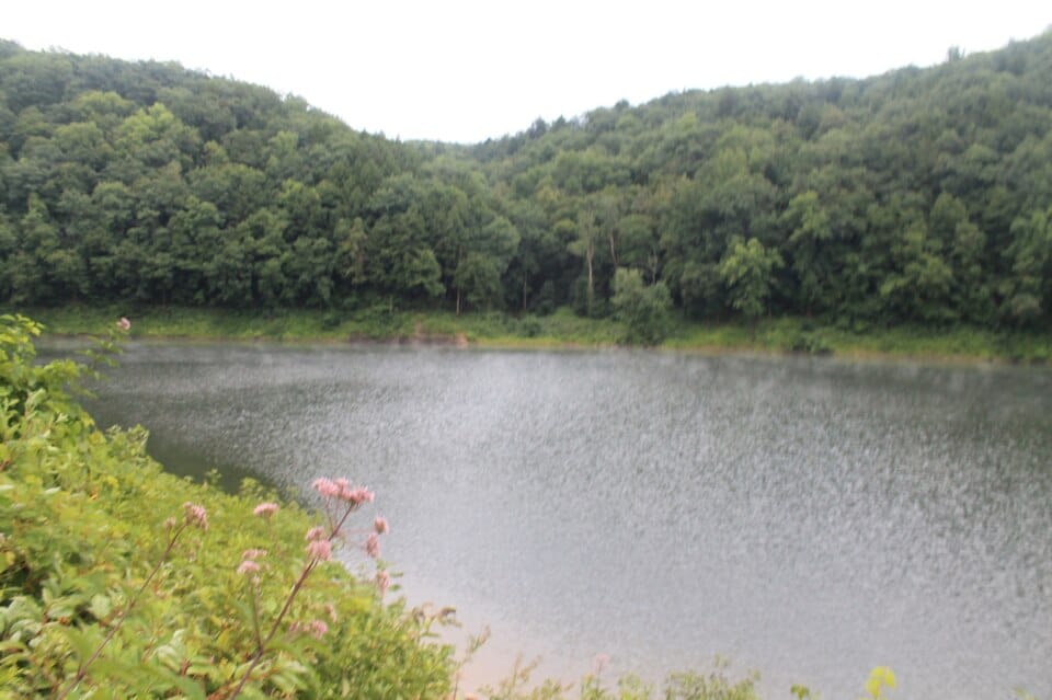 Tionesta Lake - Photo 1