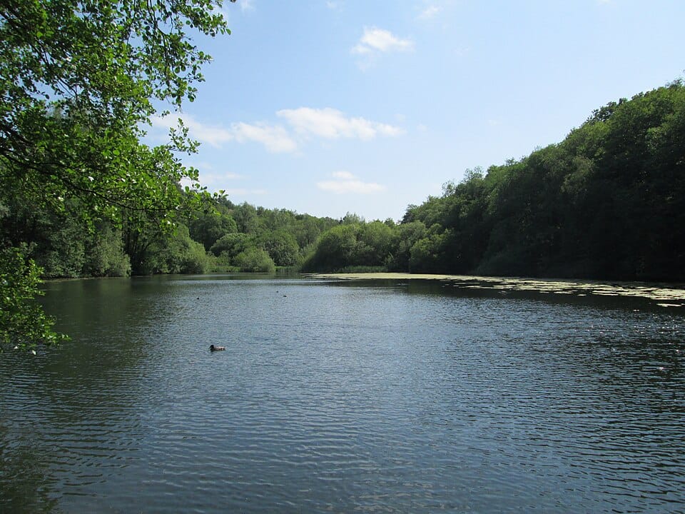 Haye Pool - Photo 1