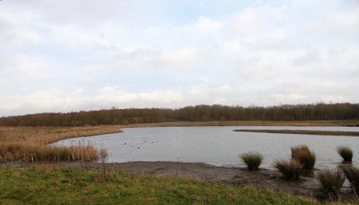 South Meadow Pond - Photo 1