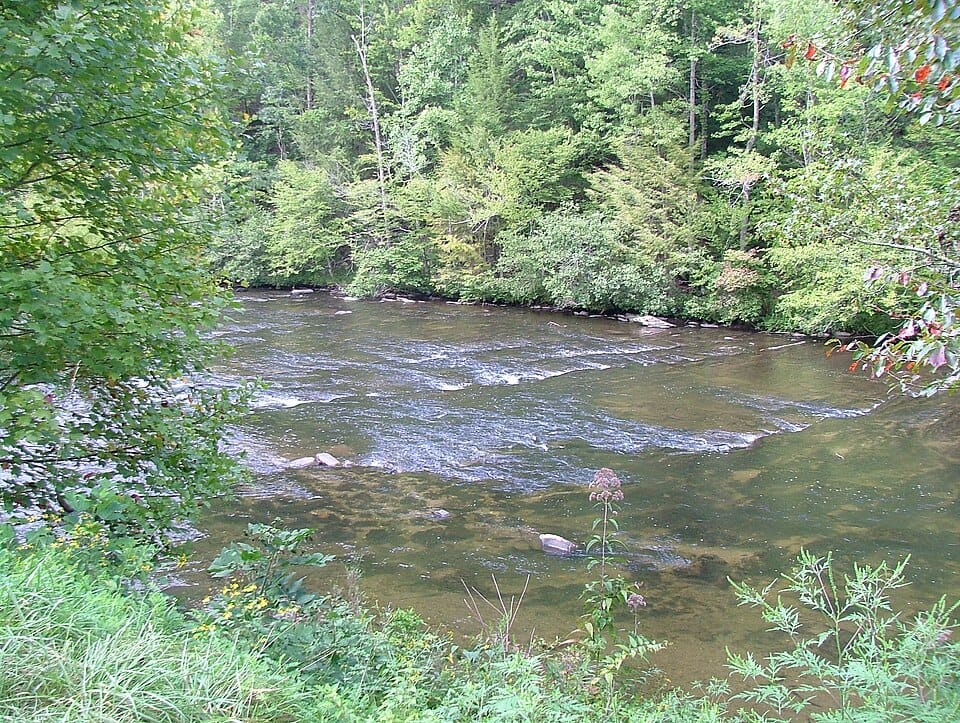 Tellico River - Photo 1