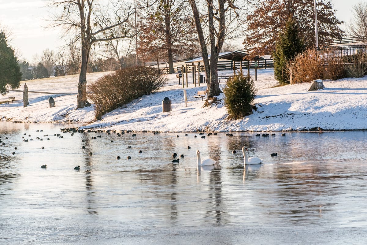 Lake Reba Park - Photo 1
