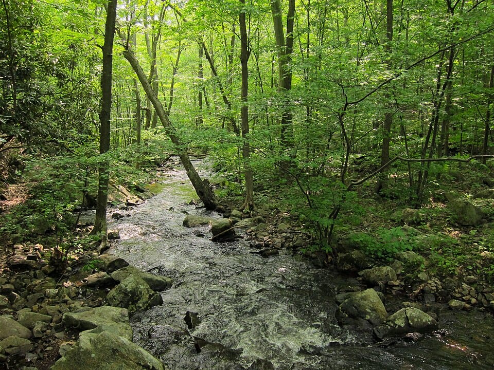 Star Lake - Photo 1