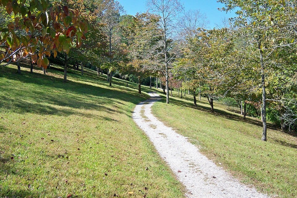 Paintsville Lake State Park - Photo 1