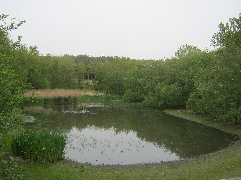 Wicks Lake - Photo 1