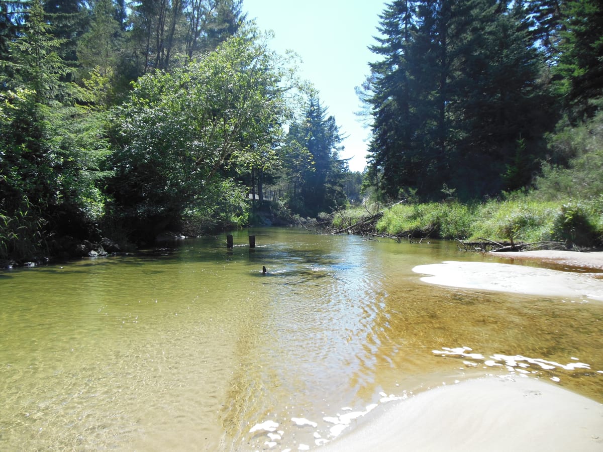 Siltcoos River - Photo 1