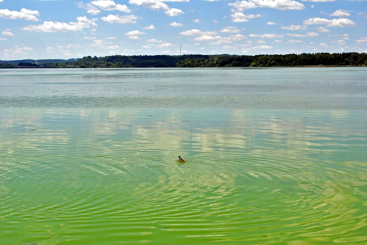 Lake Menomin - Photo 1