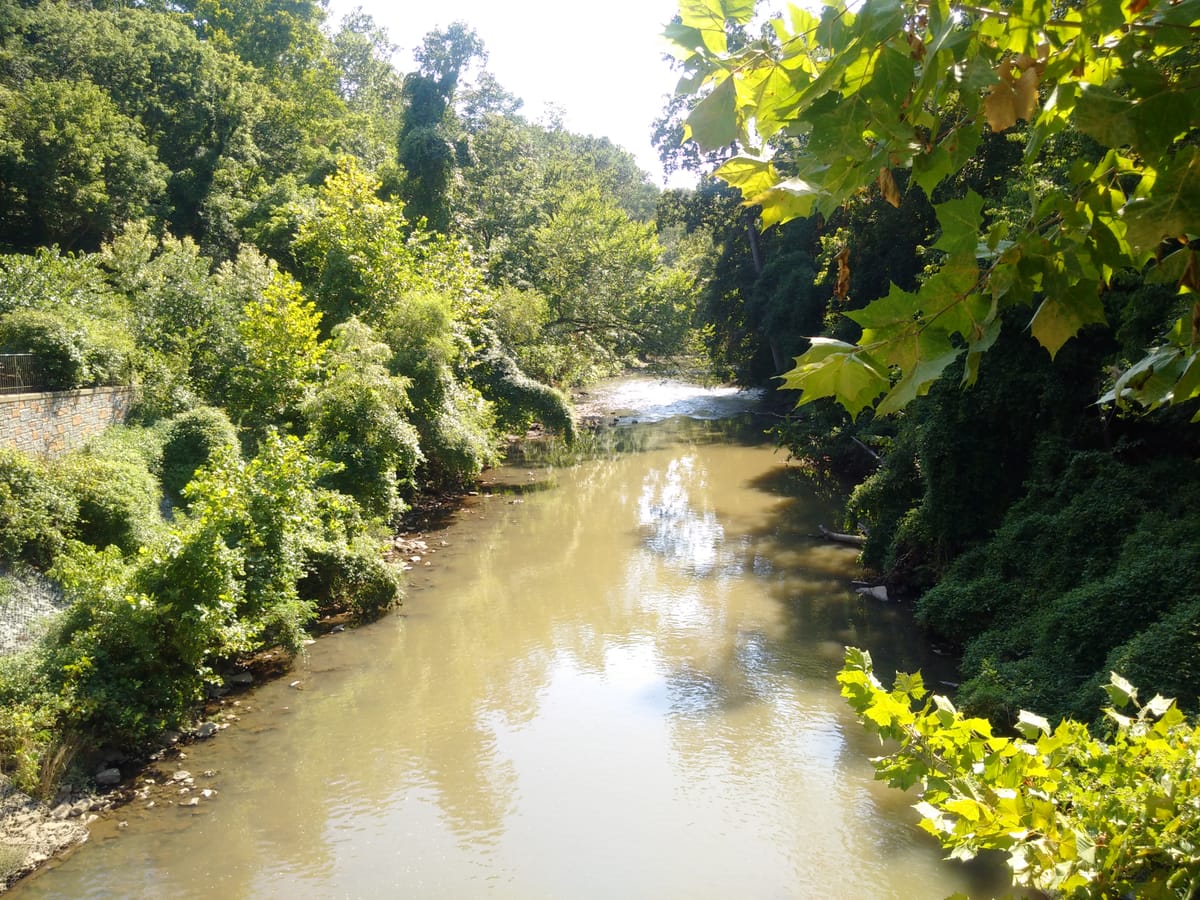 Lake Roland Nature Council - Photo 1