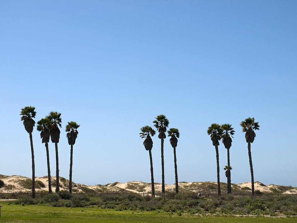 Ventura Beach - Photo 1