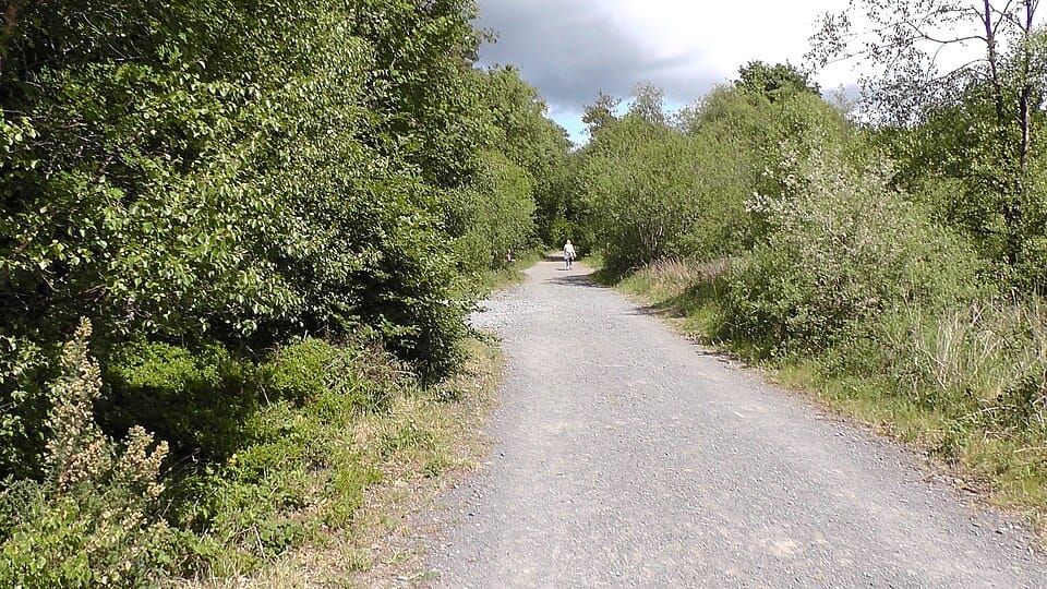 Carnagh Lake - Photo 1