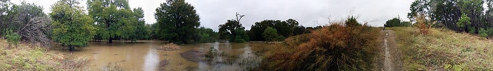 Brushy Creek Lake Park - Photo 1