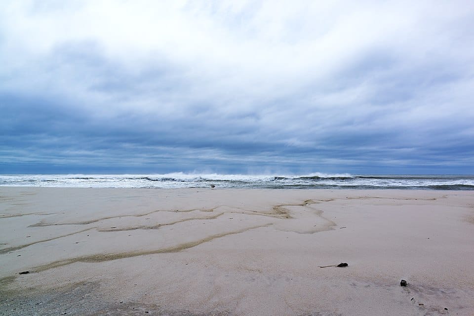 Cupsogue Beach County Park - Photo 1