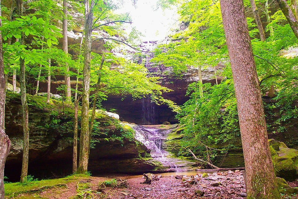 Ferne Clyffe Lake - Photo 1