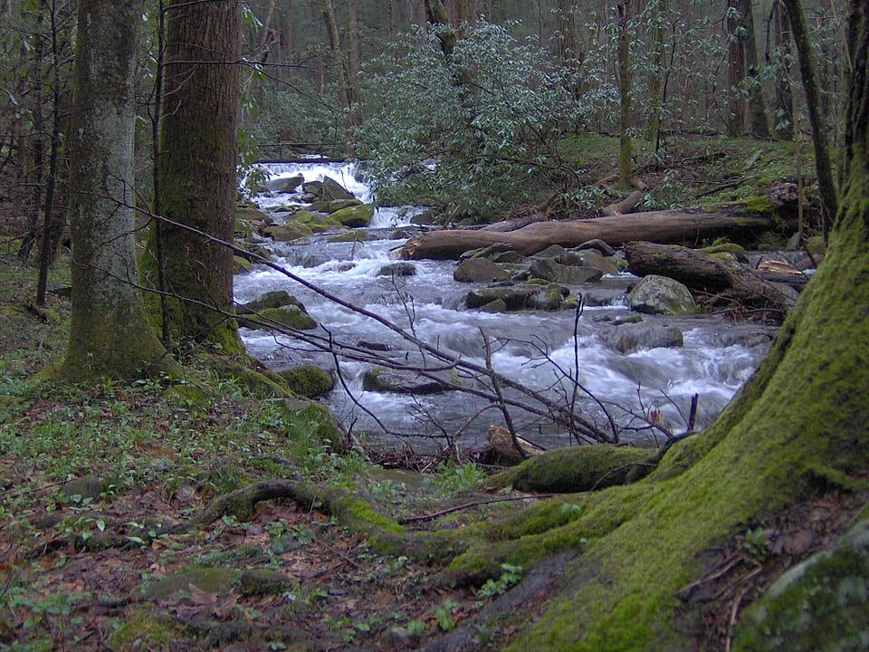 Cosby Creek - Photo 1