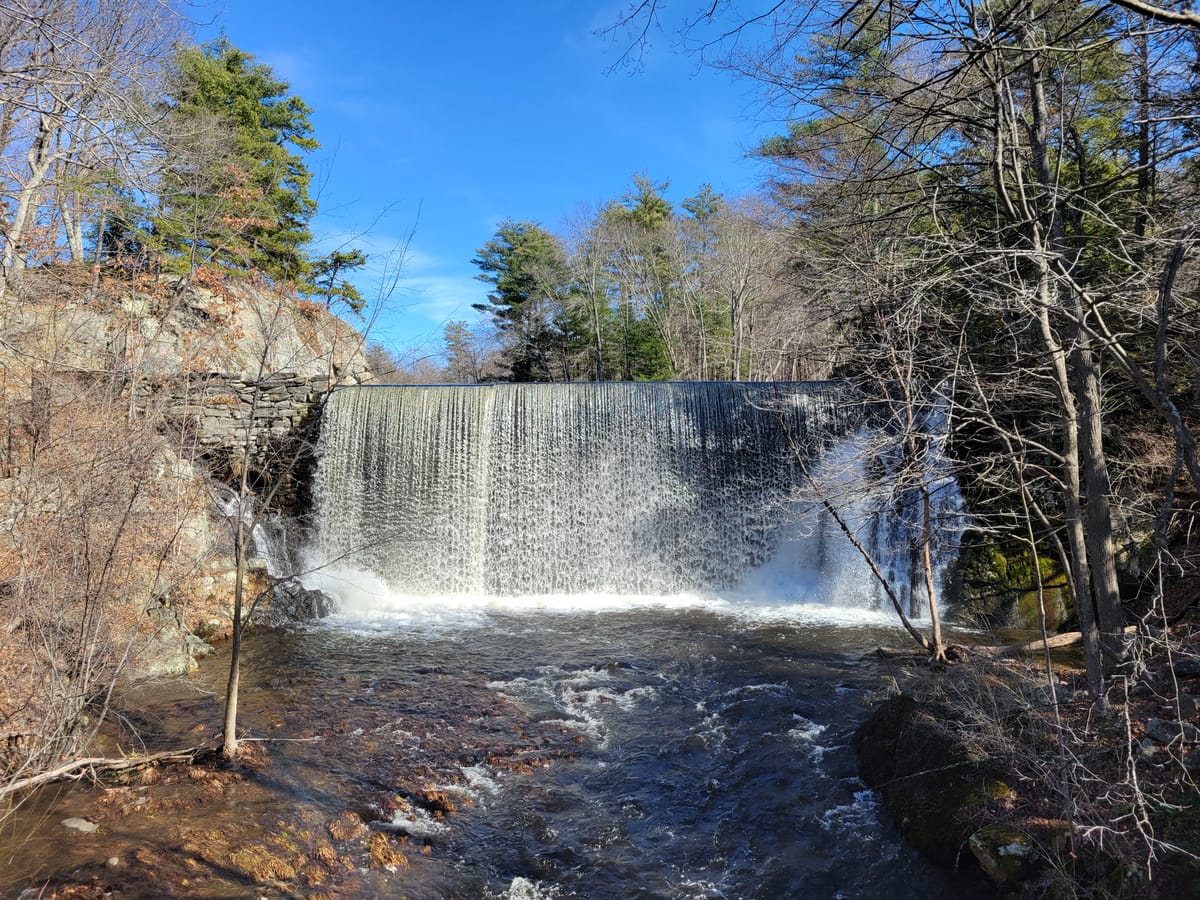 Puffers Pond - Photo 1