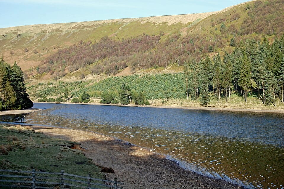 Woodland Reservoir - Photo 1