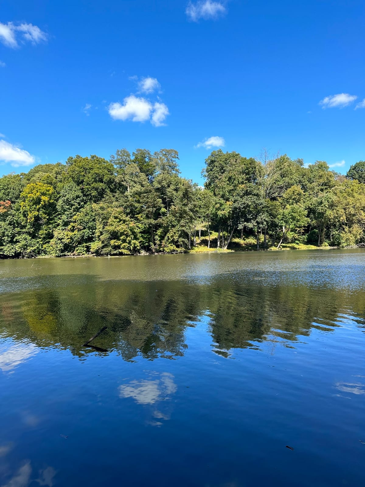 Speedwell Lake Park - Photo 1