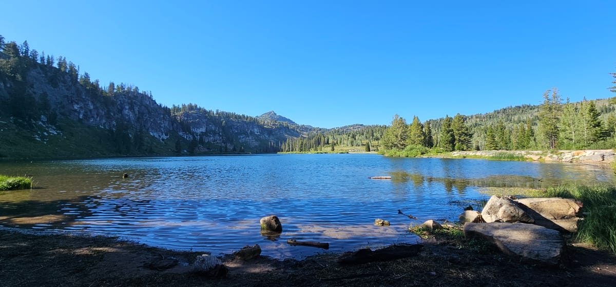 Grove Lake - Photo 1