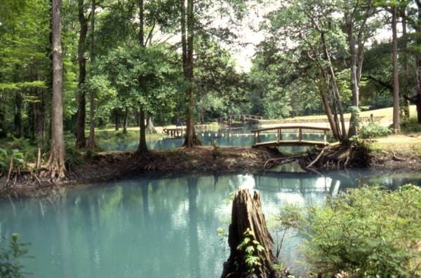 Jackson Blue Springs - Photo 1