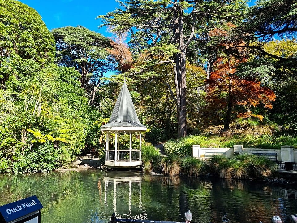 Duck Pond - Photo 1