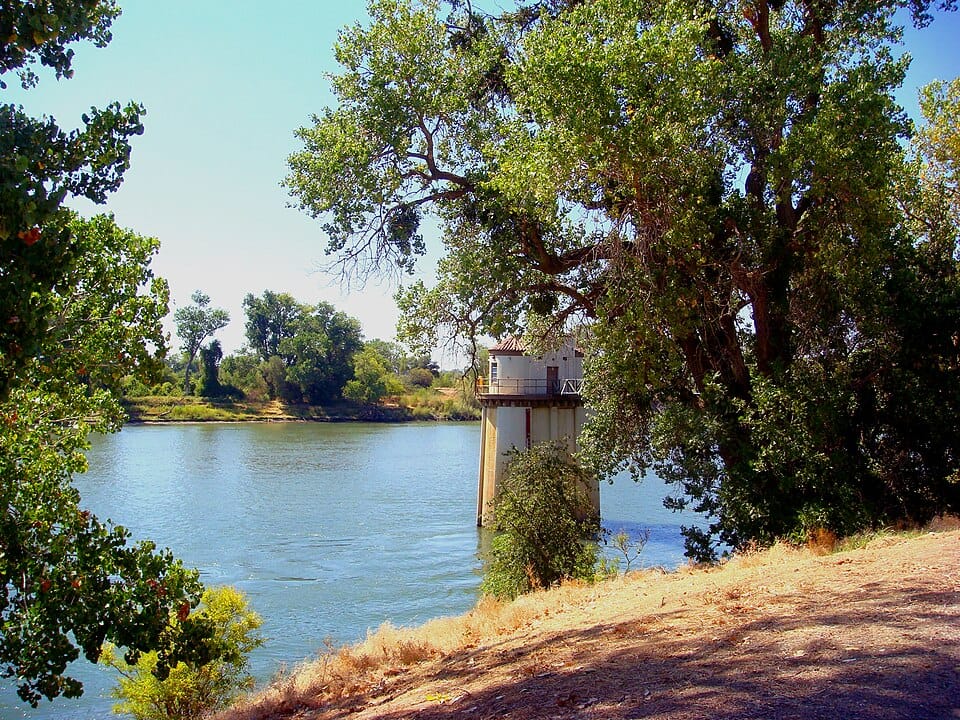 Sacramento River Arm - Photo 1