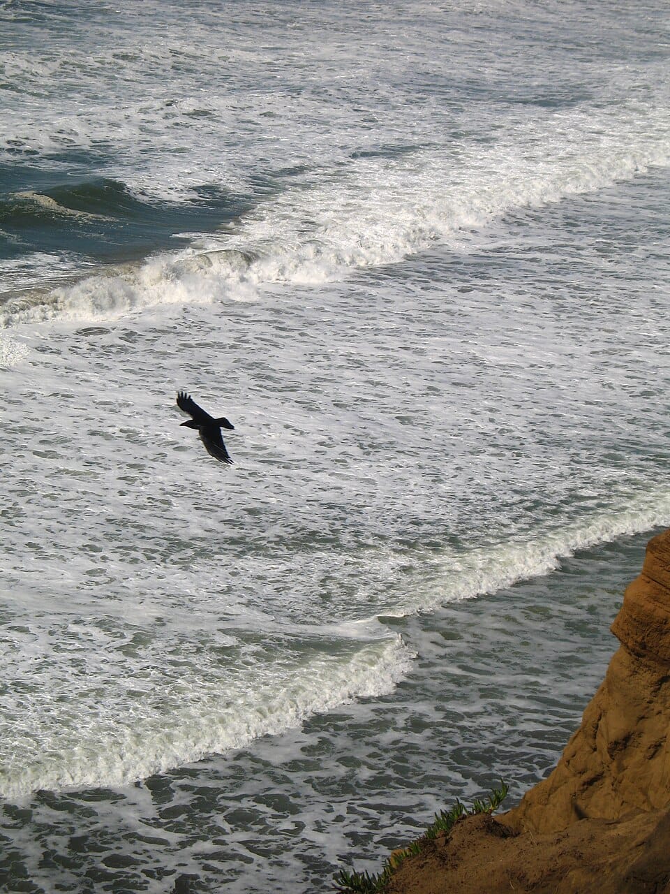 Phillip Burton Memorial Beach - Photo 1