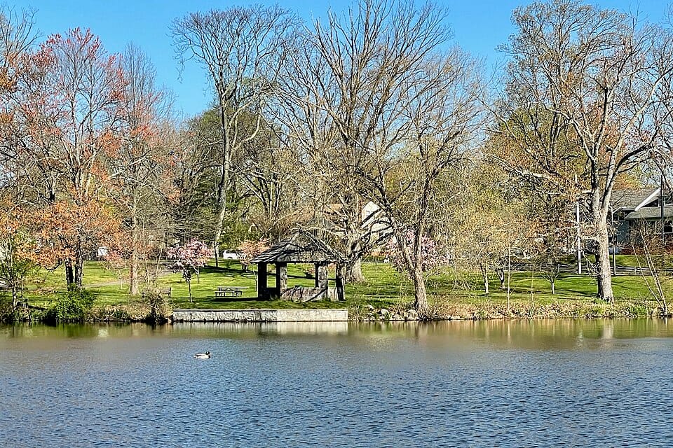 Cedar Brook Lake - Photo 1