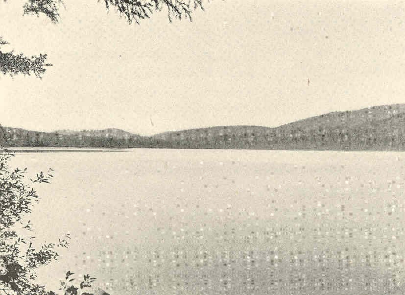 Forked Lake - Photo 1