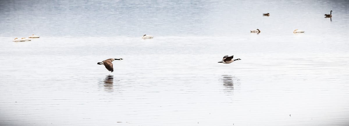 Harts Lake - Photo 1