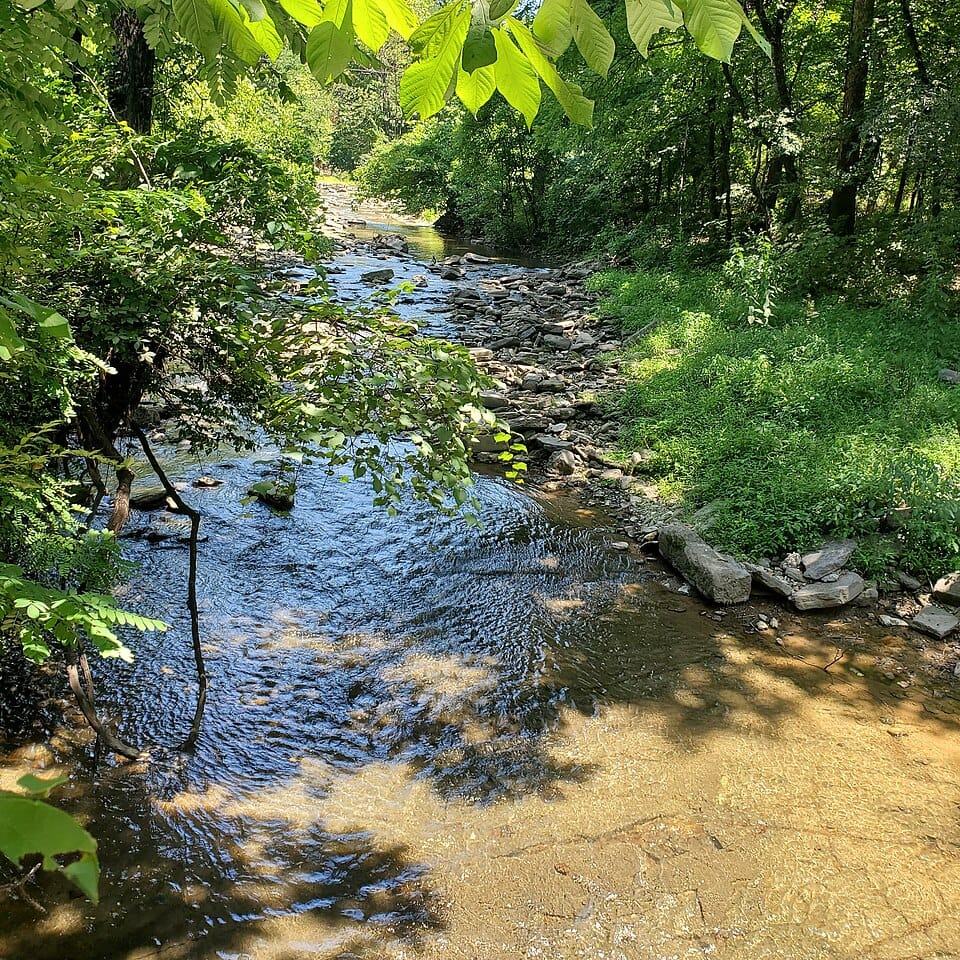 Glenn Creek - Photo 1