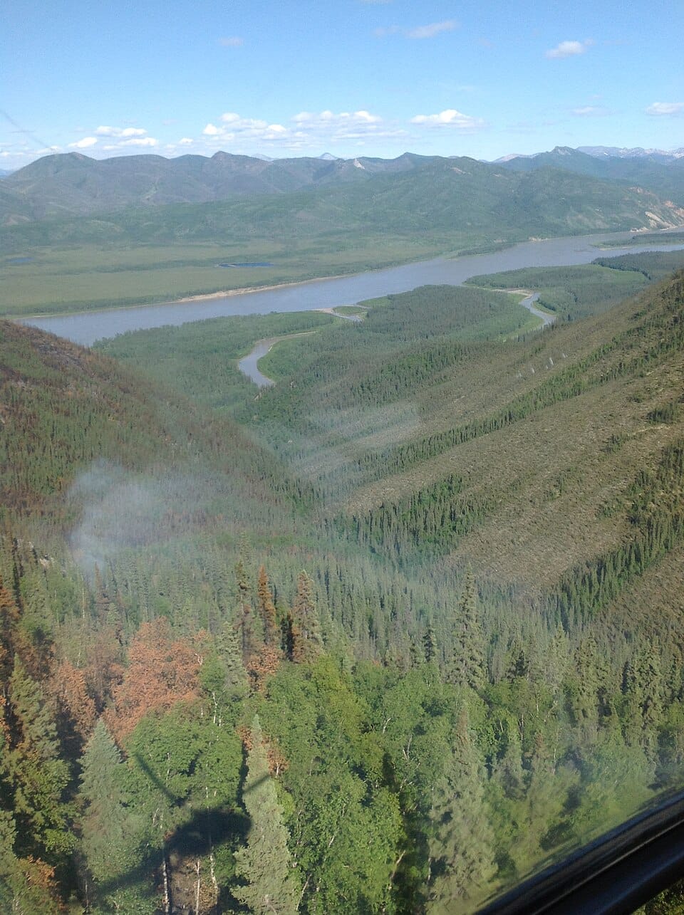 Trout Creek - Photo 1