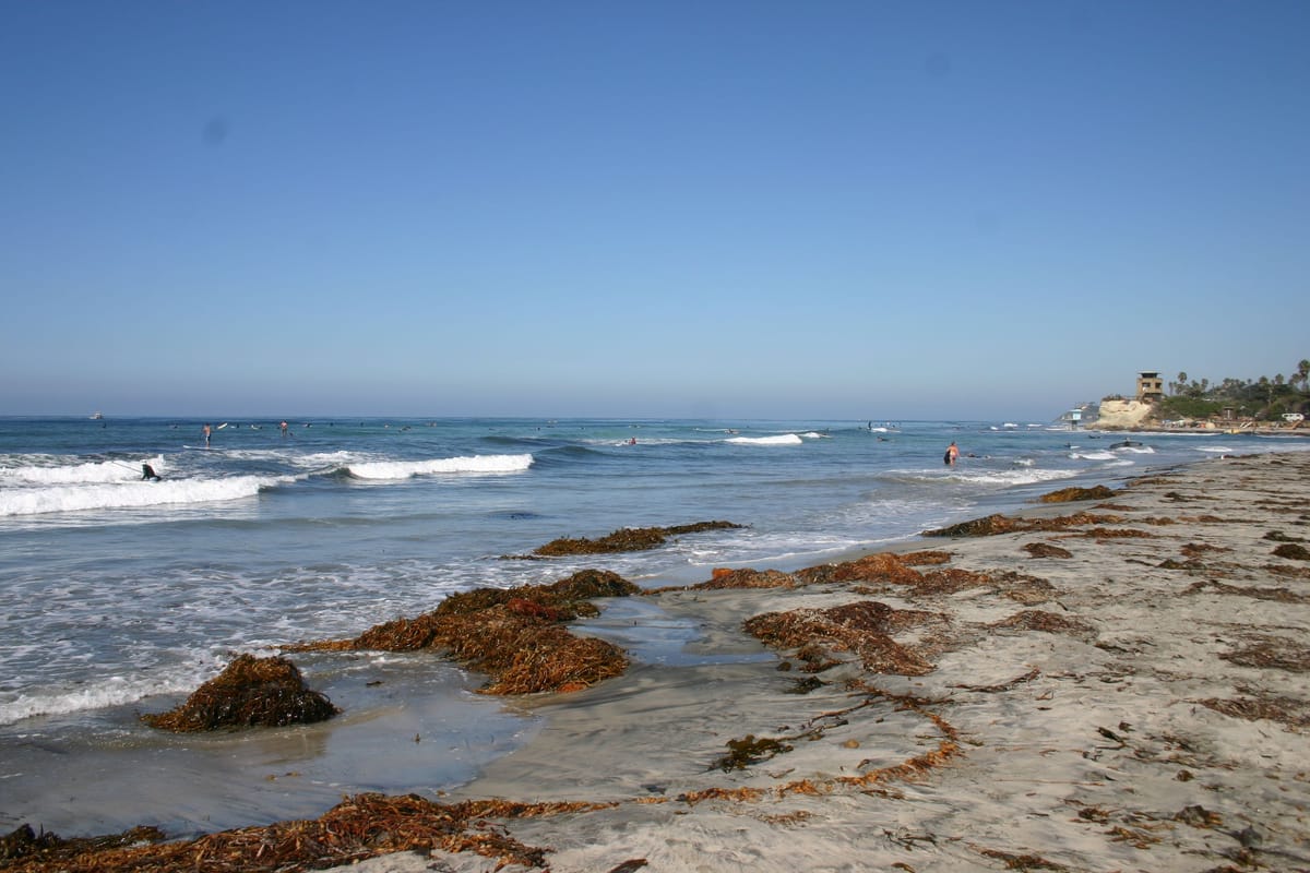 San Elijo State Beach - Photo 1