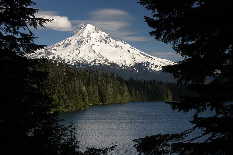 Lost Lake - Photo 1