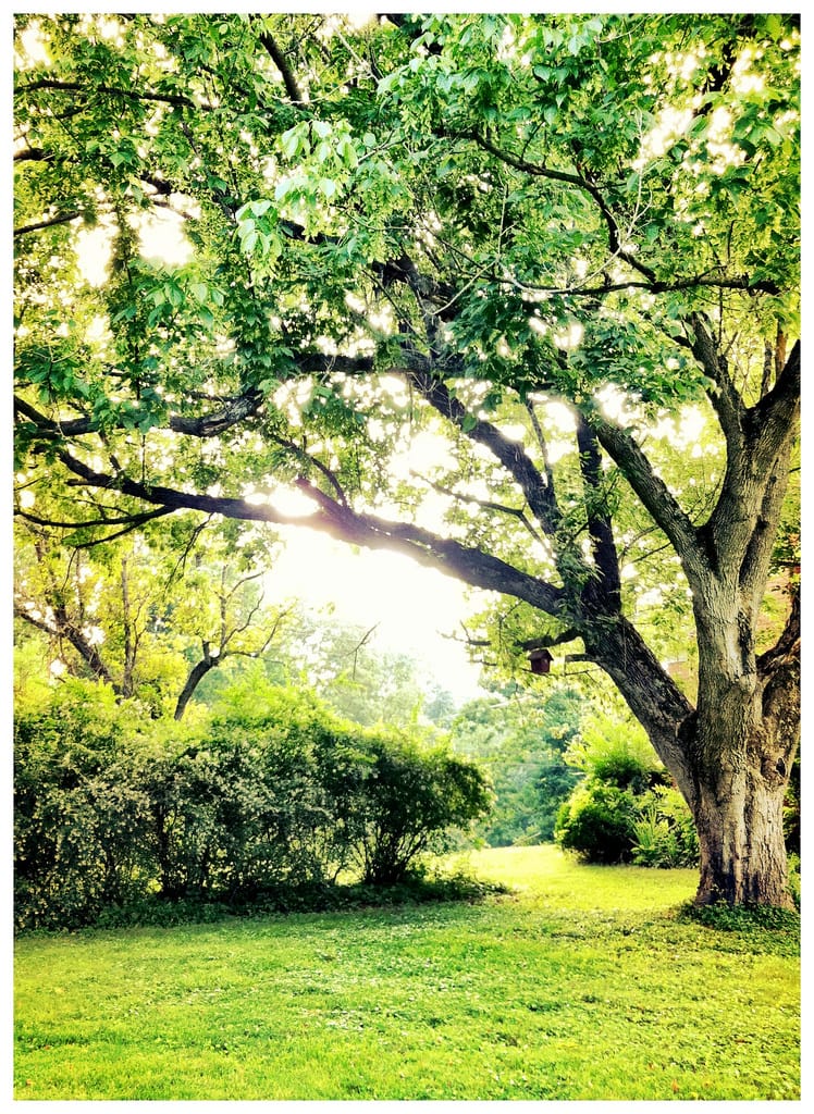 Lake View Park - Photo 1
