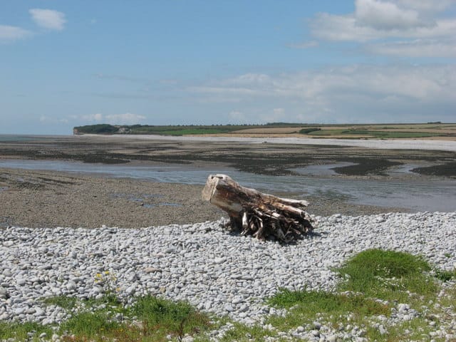 Limpert Bay - Photo 1